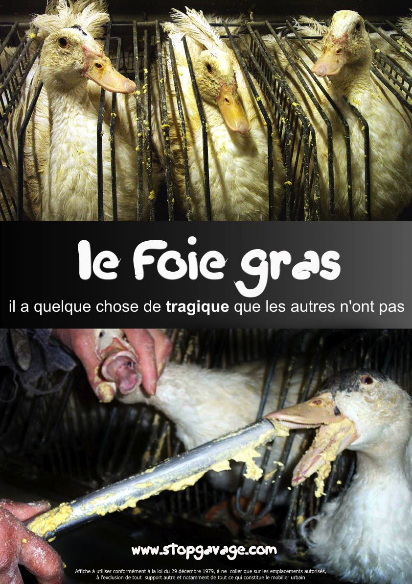 le foie gras, un crime