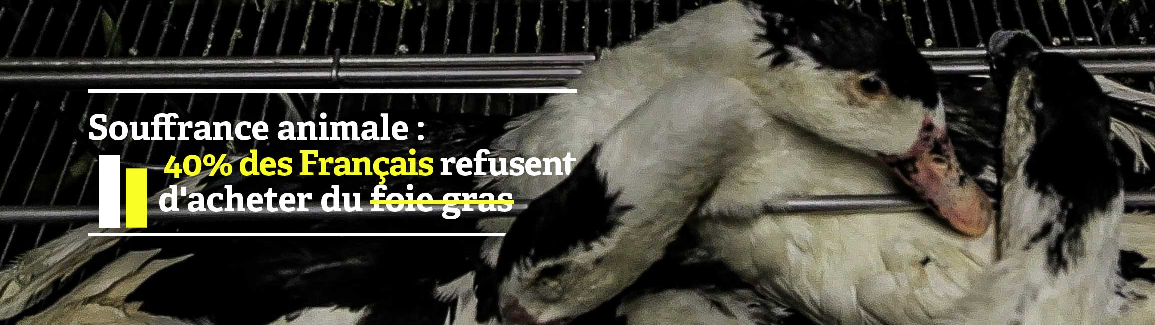 Le foie gras halal est le seul foie gras avec un antivol. Est-ce un ac